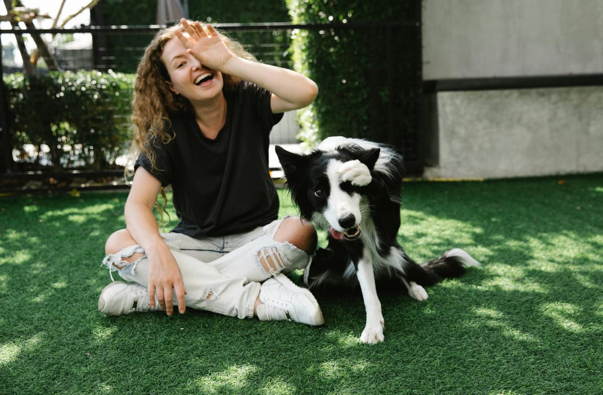 The secret language of dogs. Reading their body signals