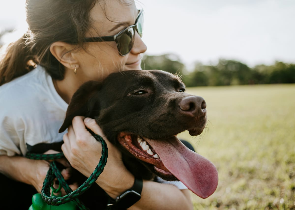 The Beautiful Bond: How Dogs Connect With Our Hearts