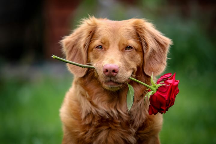 The hearts we choose and the hearts we keep.