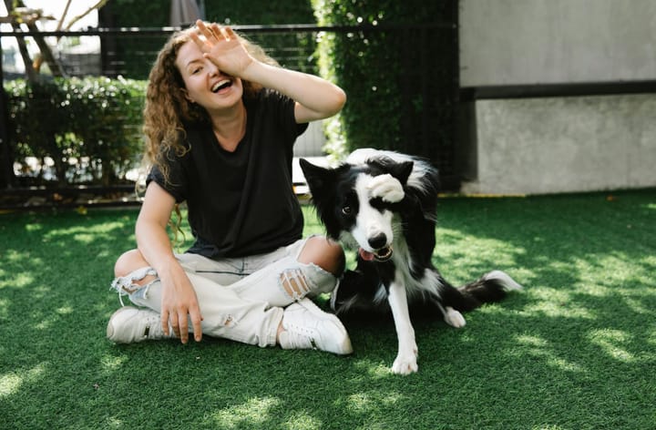 The secret language of dogs. Reading their body signals