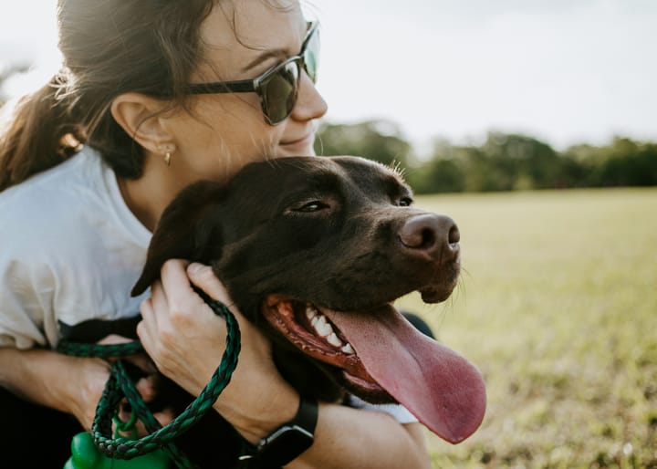 The Beautiful Bond: How Dogs Connect With Our Hearts