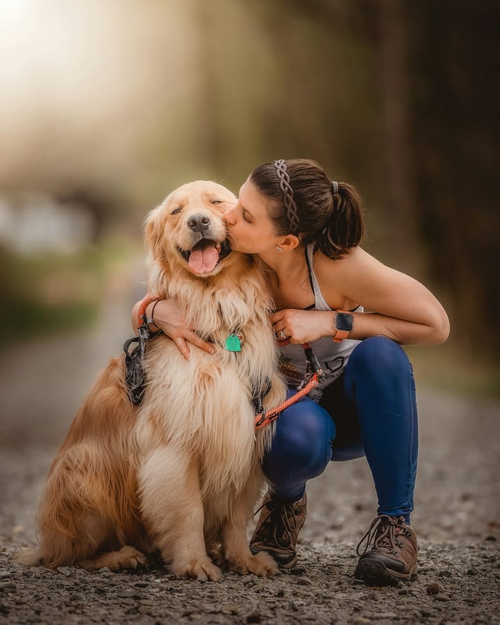 How successfully train your dog.
